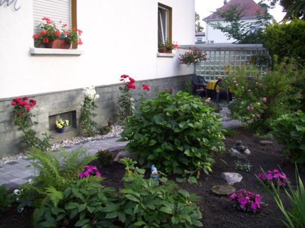 Hotel Pension Wiesenau Bad Salzhausen Екстер'єр фото